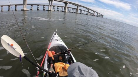 Profish Reload Review - Alan Howell 4 Alan Howell Profish Reload Review 6