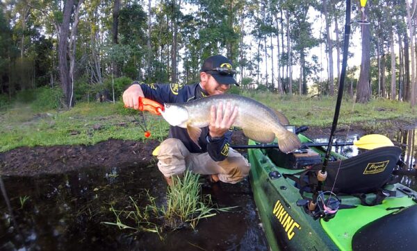 Bass Fishing Viking Gt Brisbane 10